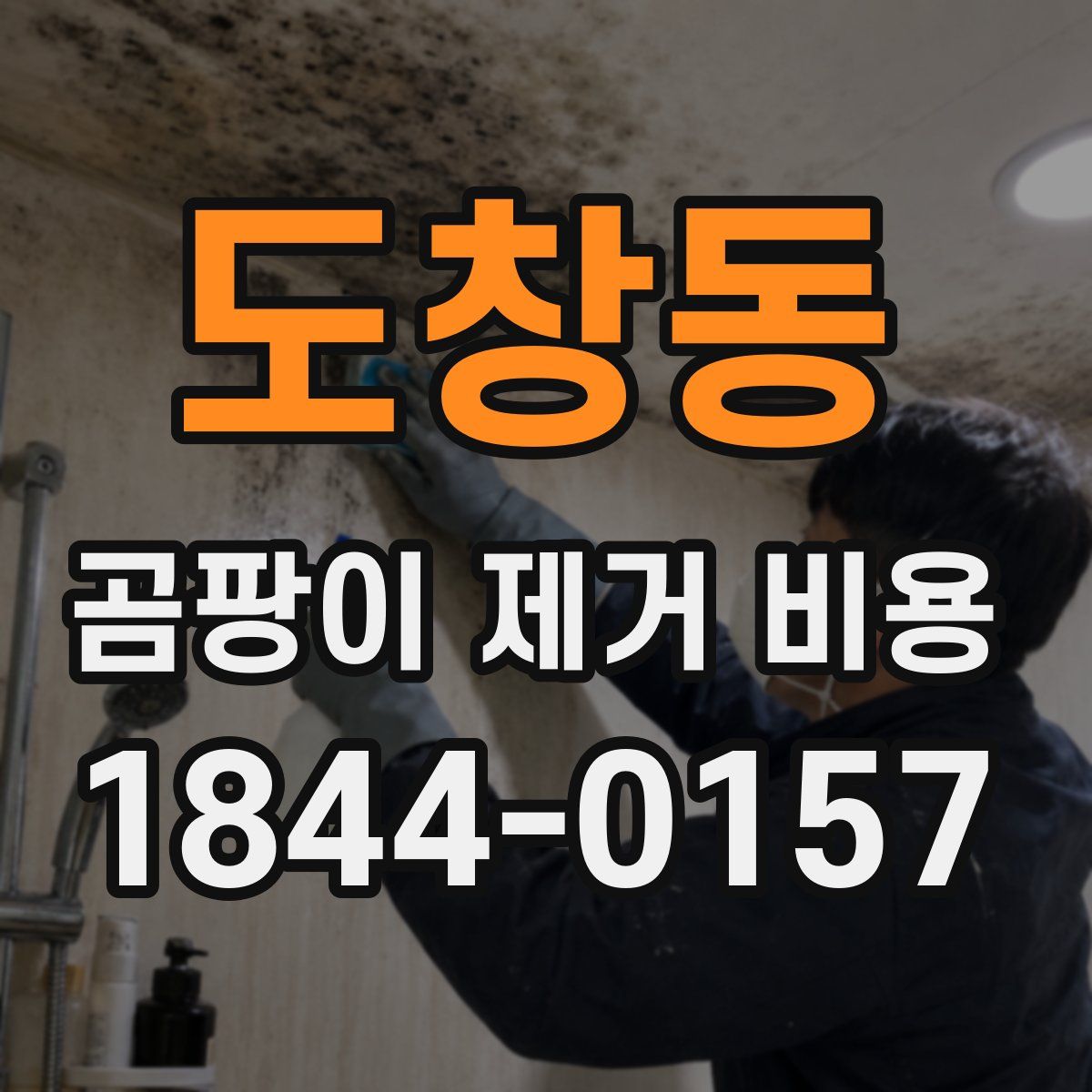 도창동 곰팡이 제거 비용