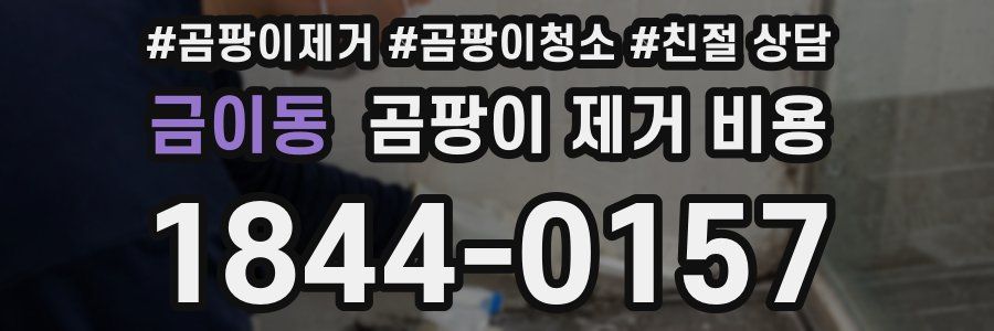 금이동 곰팡이 제거 비용