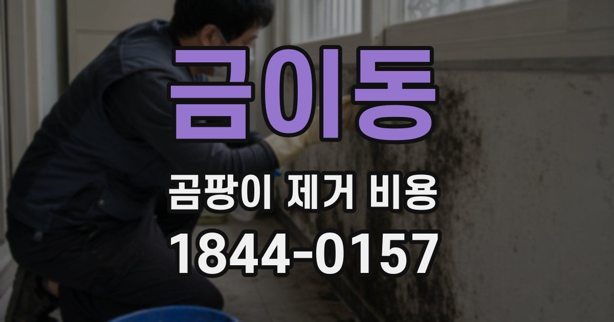 금이동 곰팡이 제거 비용
