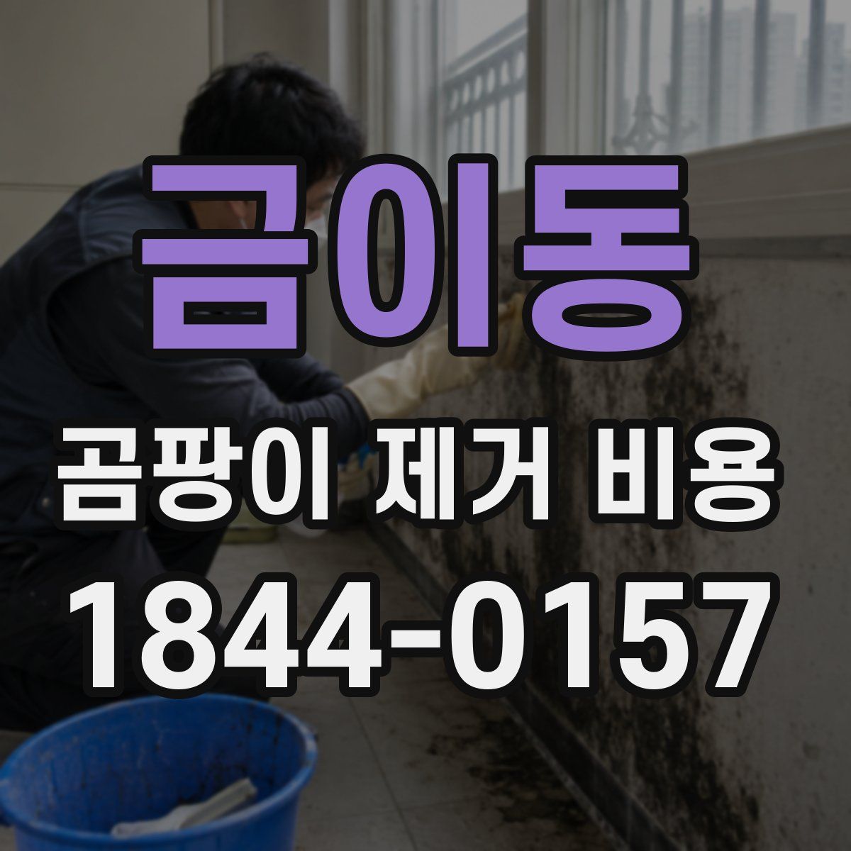 금이동 곰팡이 제거 비용