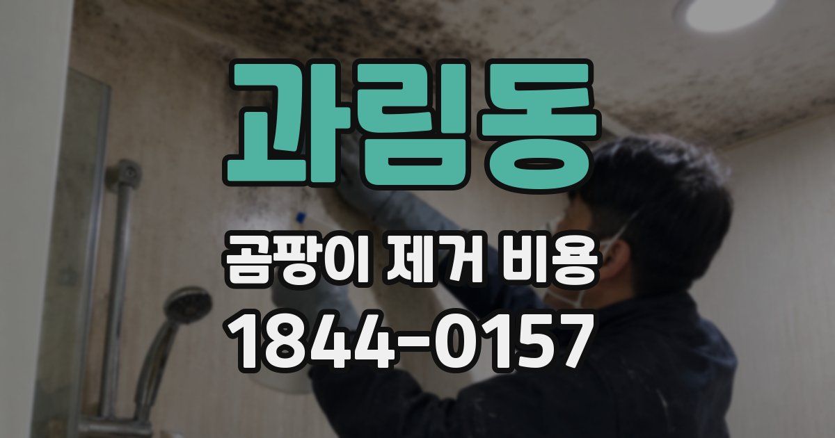 과림동 곰팡이 제거 비용