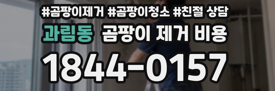 과림동 곰팡이 제거 비용