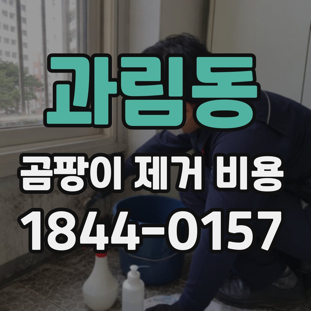 과림동 곰팡이 제거 비용