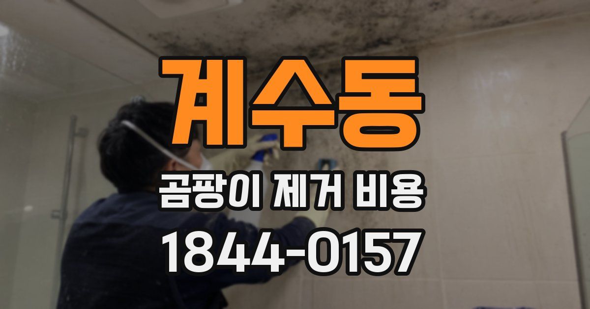계수동 곰팡이 제거 비용