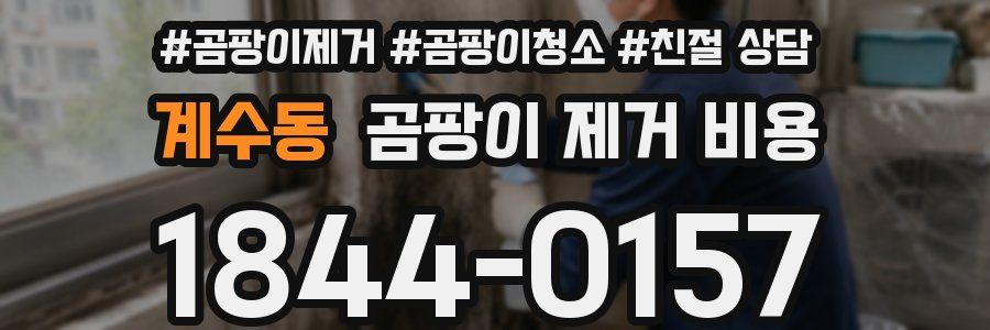 계수동 곰팡이 제거 비용