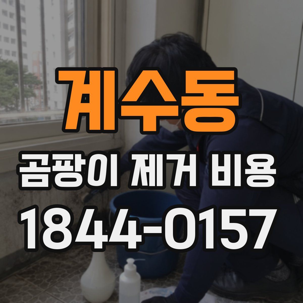 계수동 곰팡이 제거 비용
