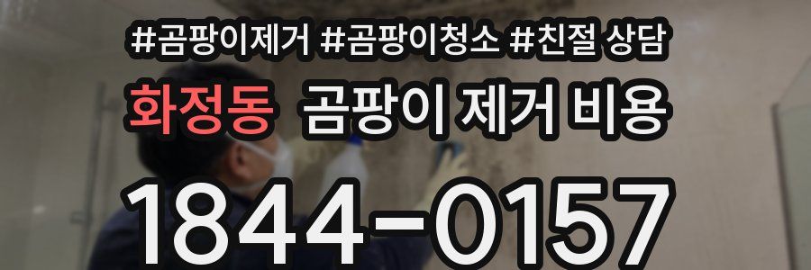 화정동 곰팡이 제거 비용