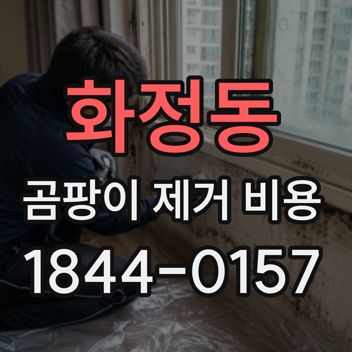 화정동 곰팡이 제거 비용