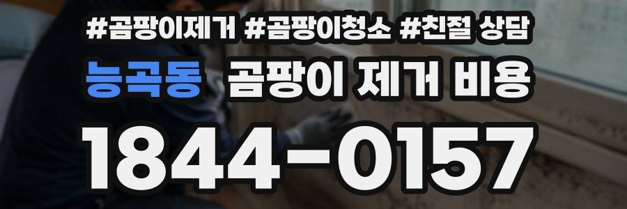 능곡동 곰팡이 제거 비용