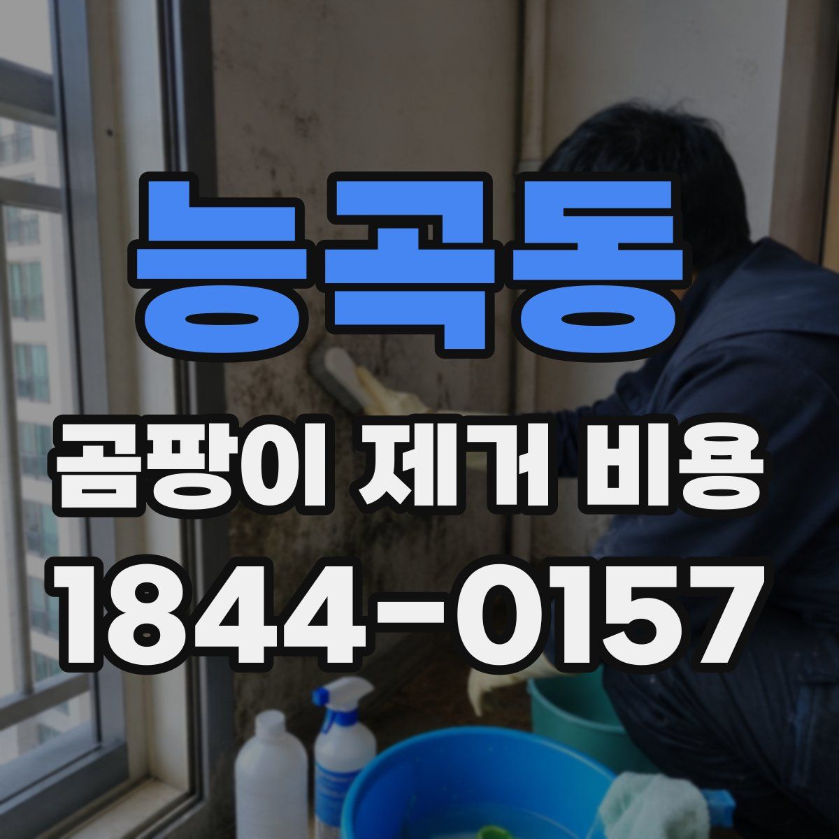 능곡동 곰팡이 제거 비용