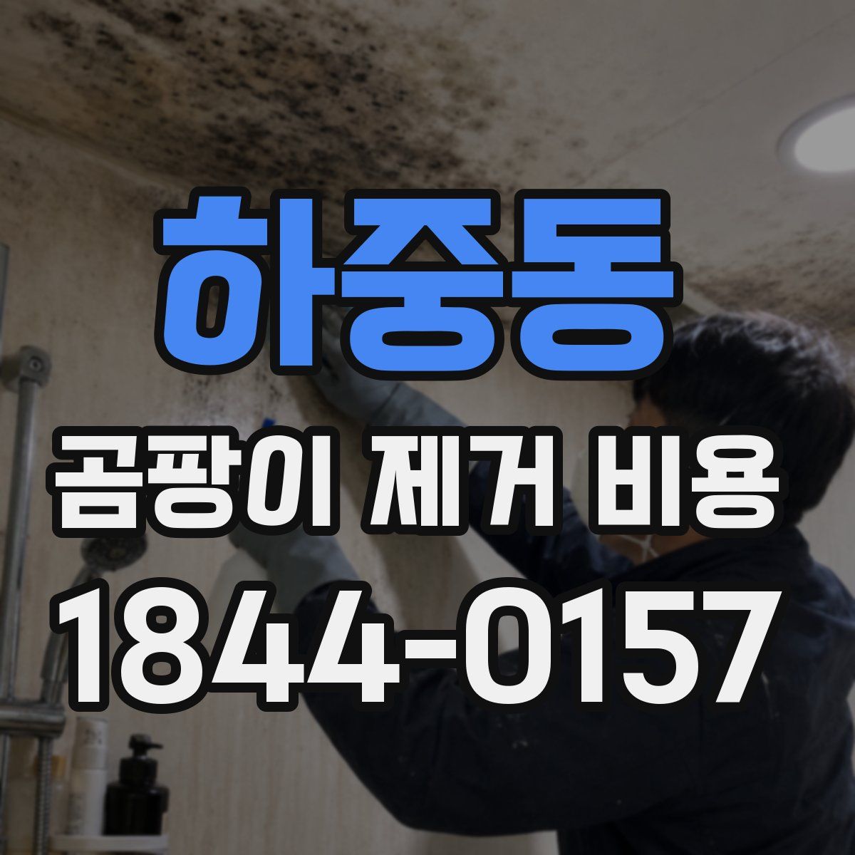 하중동 곰팡이 제거 비용