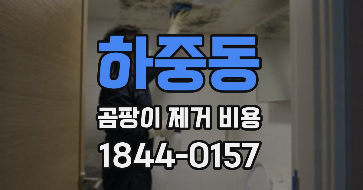 하중동 곰팡이 제거 비용