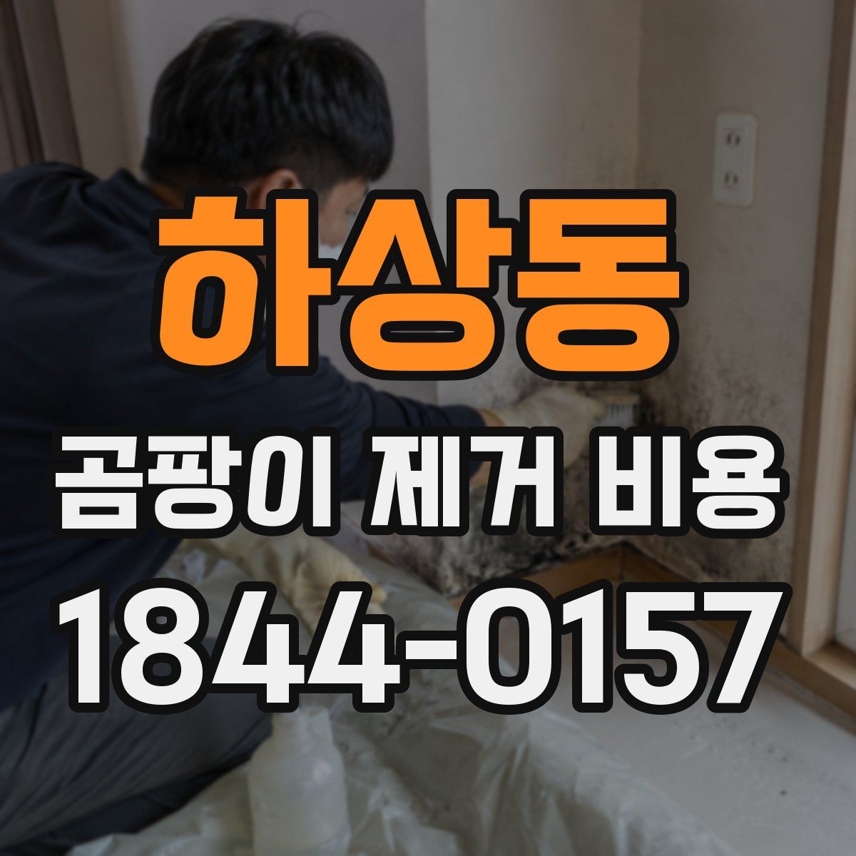 하상동 곰팡이 제거 비용