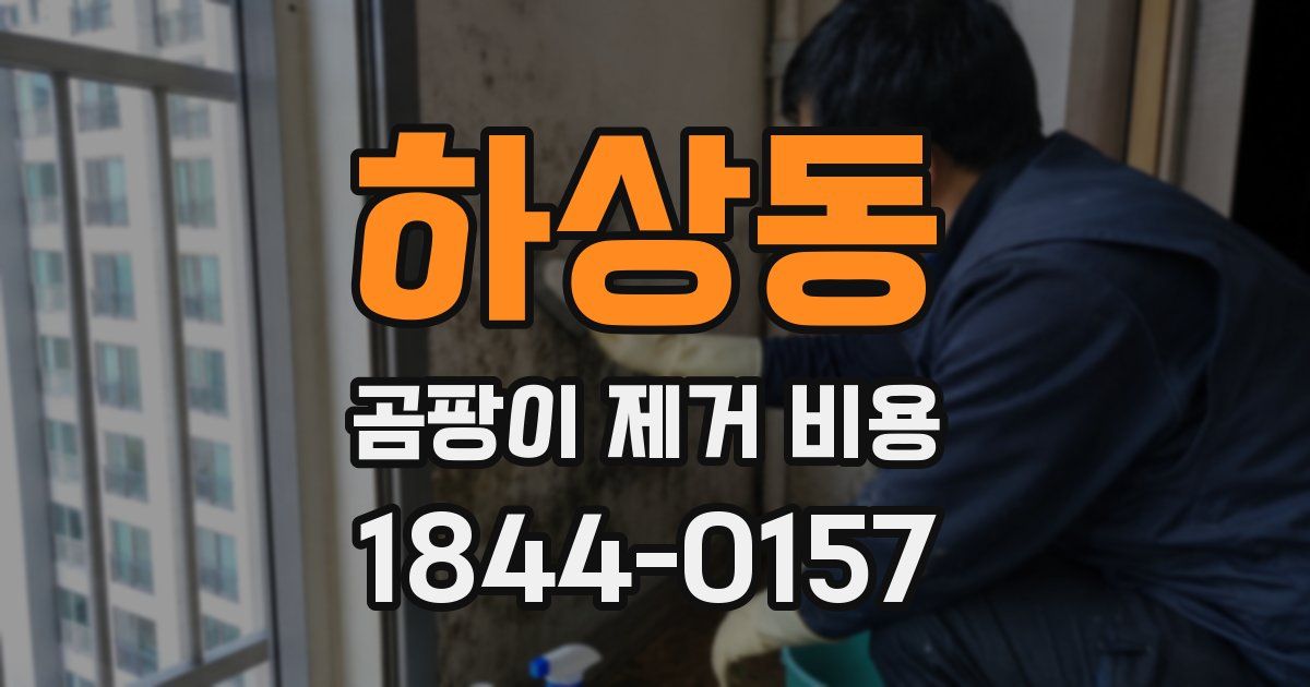 하상동 곰팡이 제거 비용