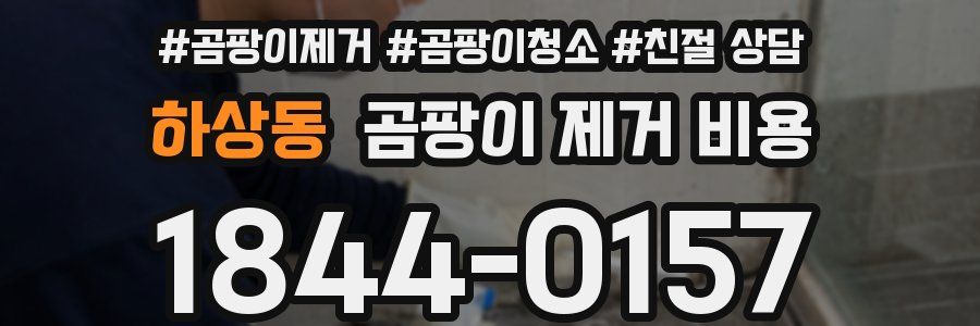 하상동 곰팡이 제거 비용