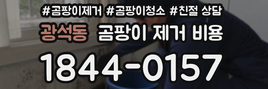 광석동 곰팡이 제거 비용