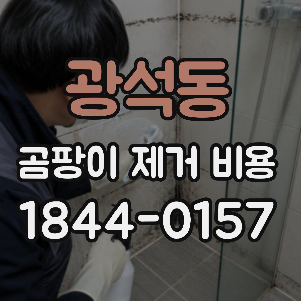 광석동 곰팡이 제거 비용