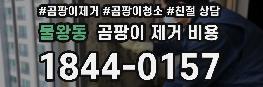 물왕동 곰팡이 제거 비용