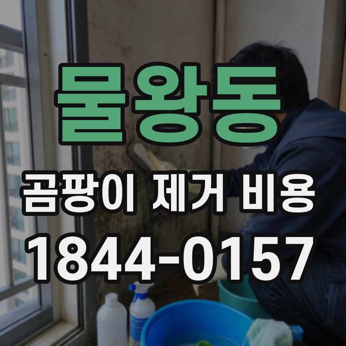 물왕동 곰팡이 제거 비용