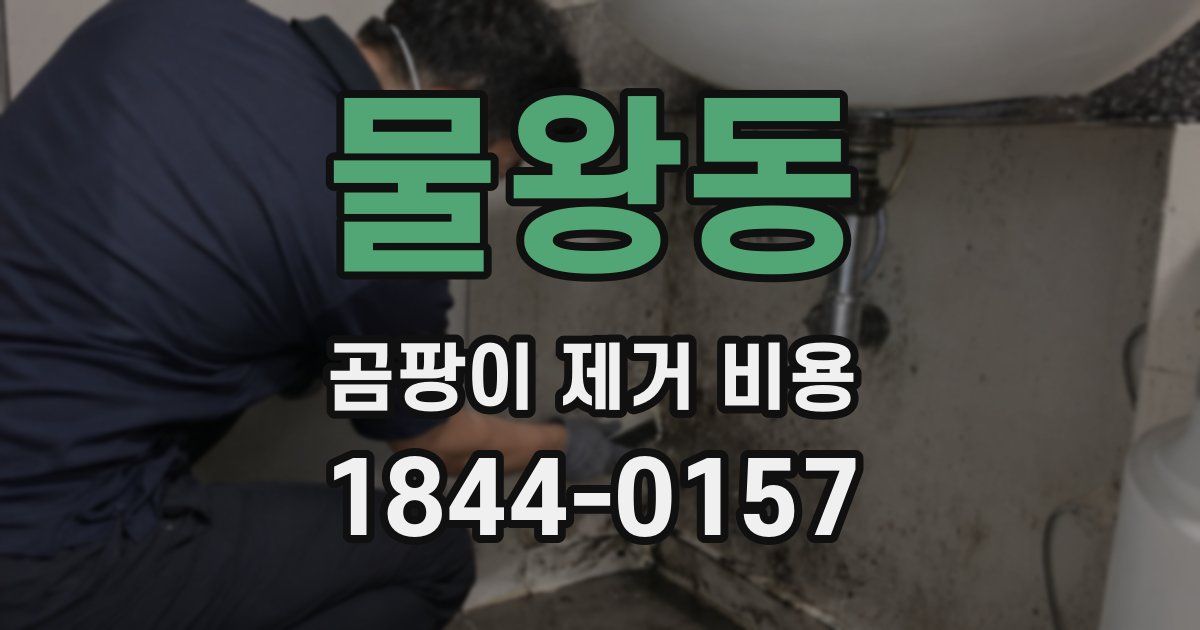 물왕동 곰팡이 제거 비용