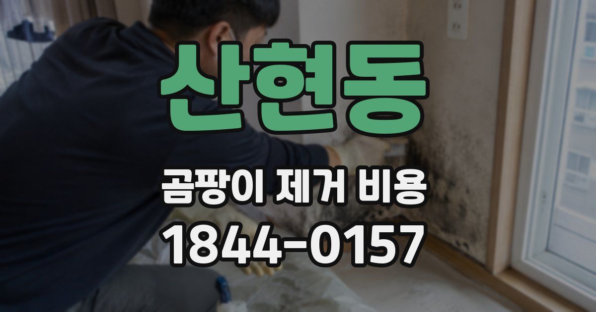 산현동 곰팡이 제거 비용