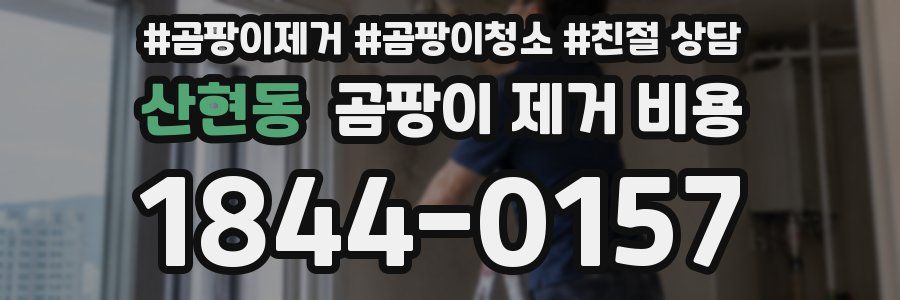 산현동 곰팡이 제거 비용