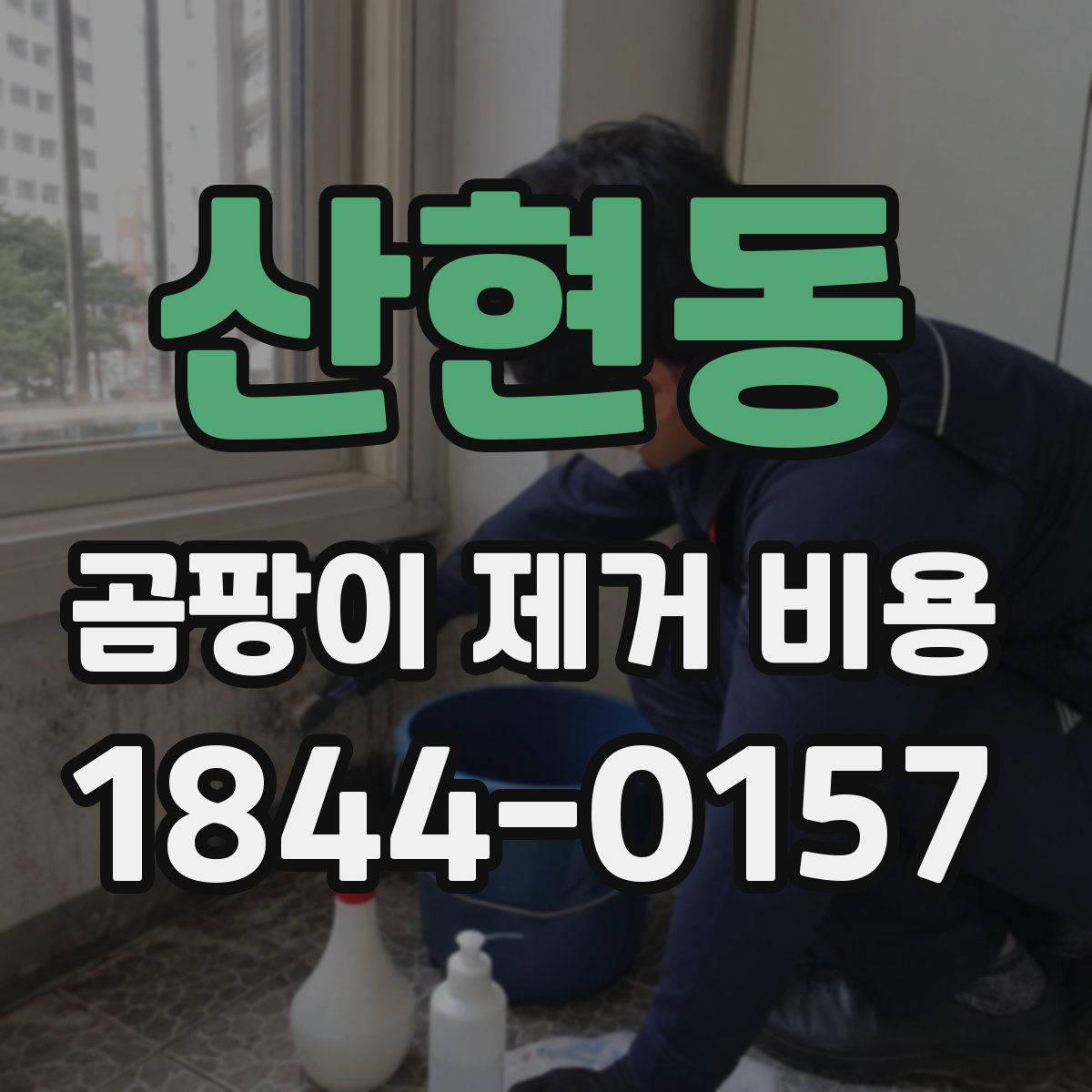 산현동 곰팡이 제거 비용