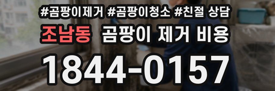 조남동 곰팡이 제거 비용