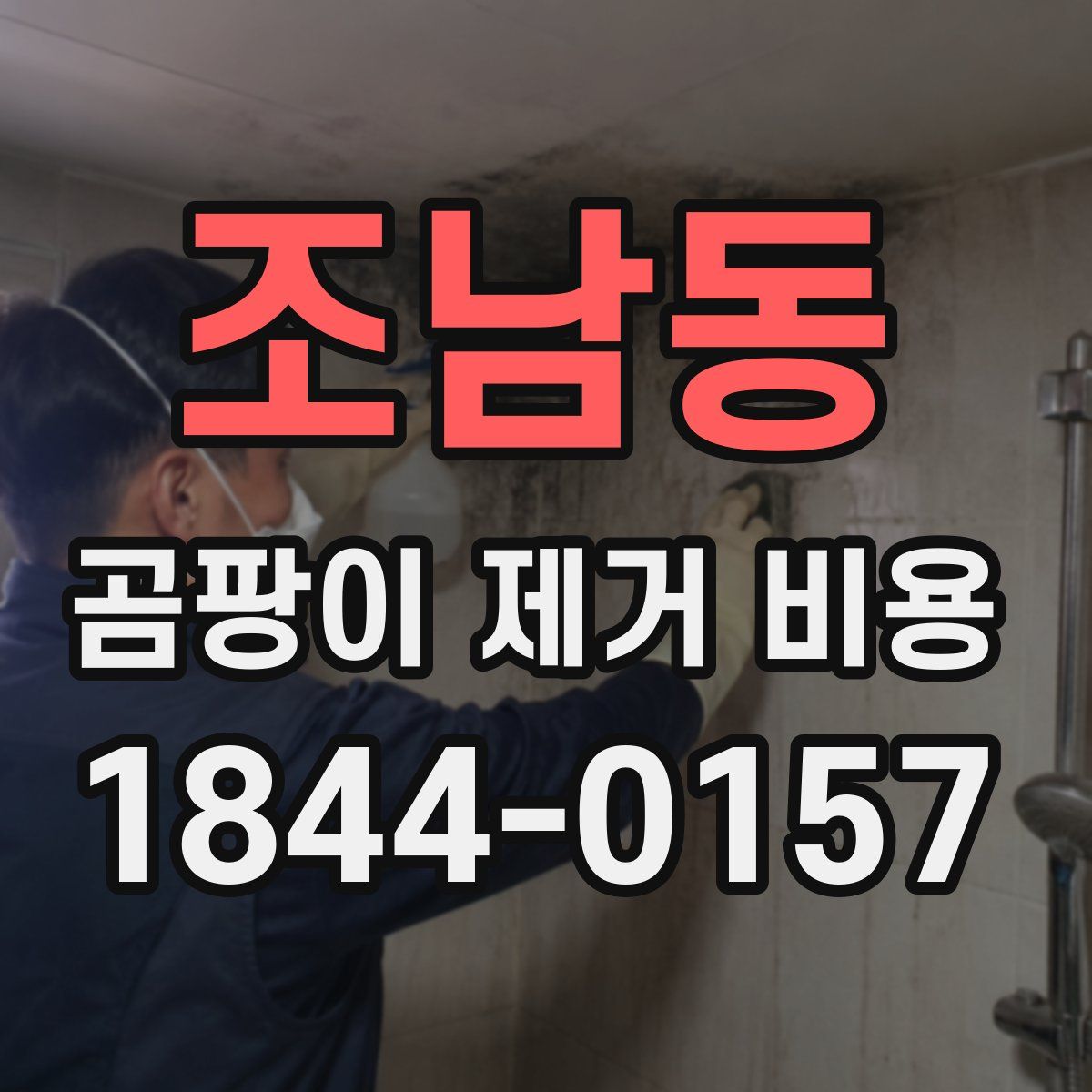 조남동 곰팡이 제거 비용