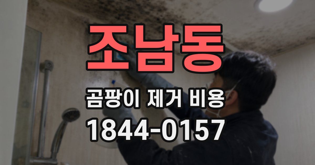 조남동 곰팡이 제거 비용