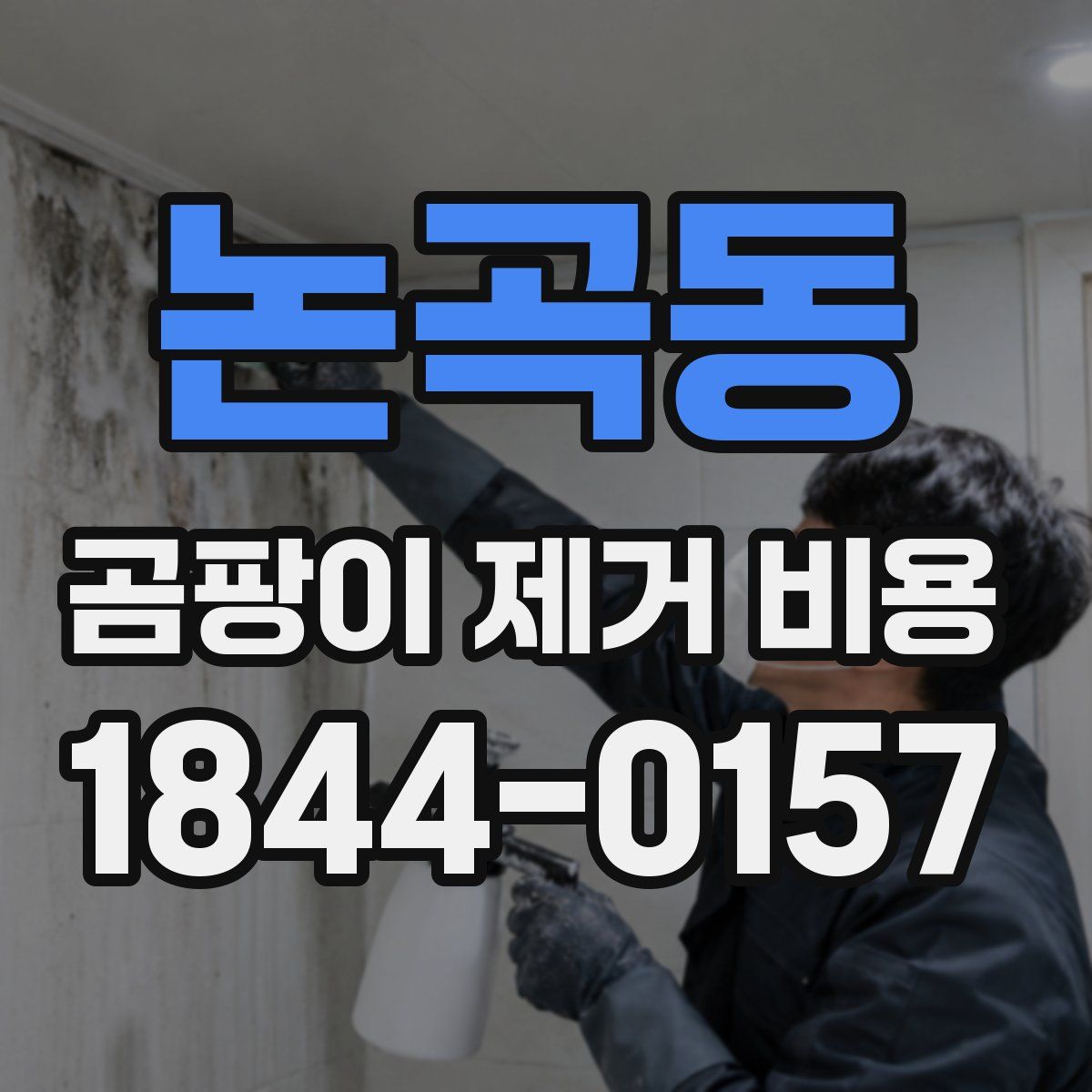 논곡동 곰팡이 제거 비용