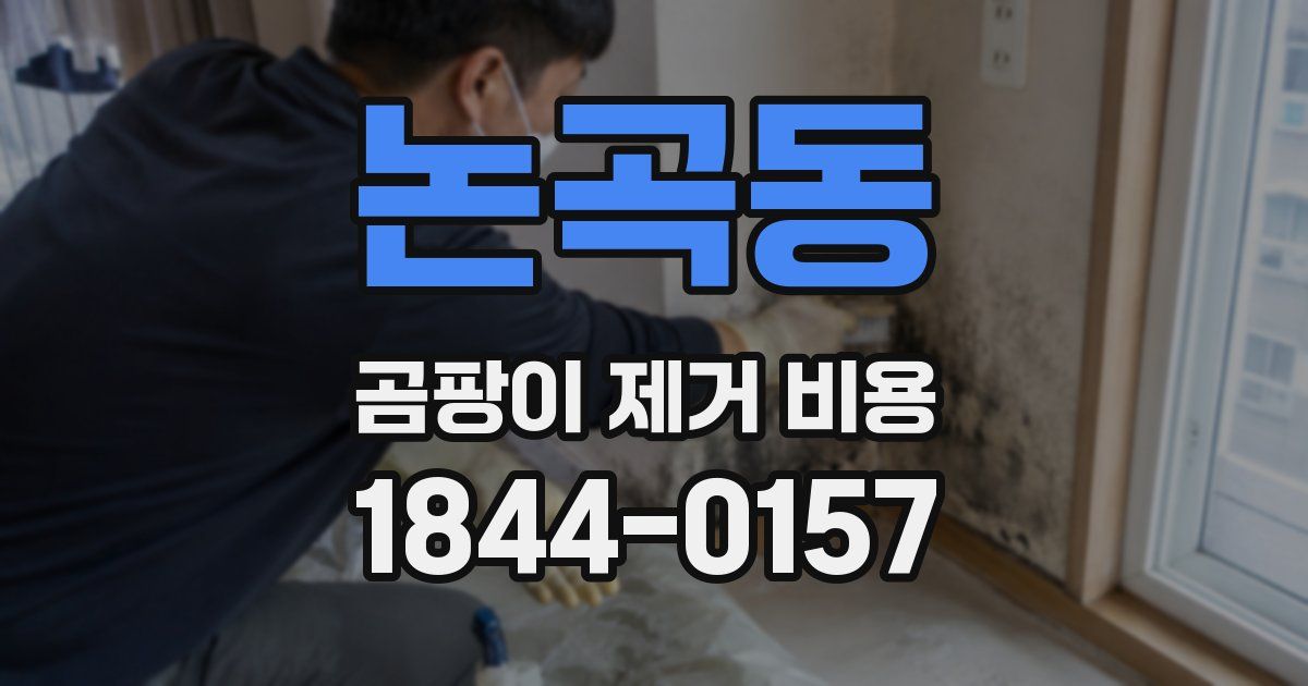 논곡동 곰팡이 제거 비용