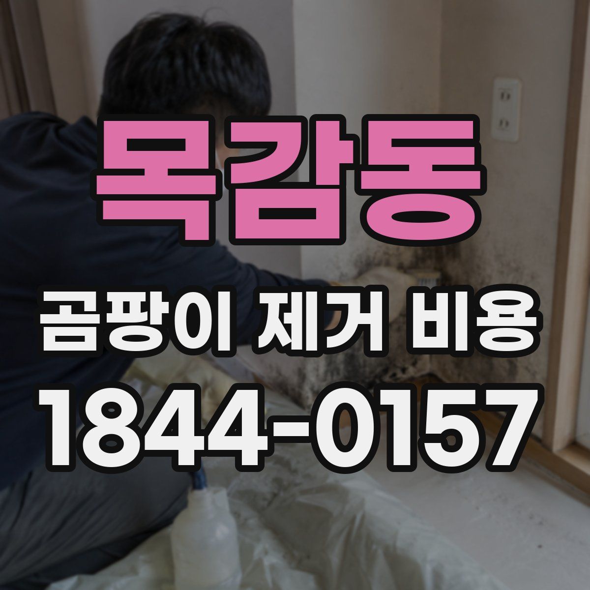 목감동 곰팡이 제거 비용