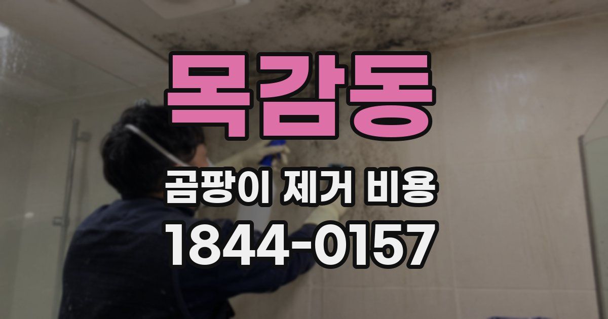 목감동 곰팡이 제거 비용