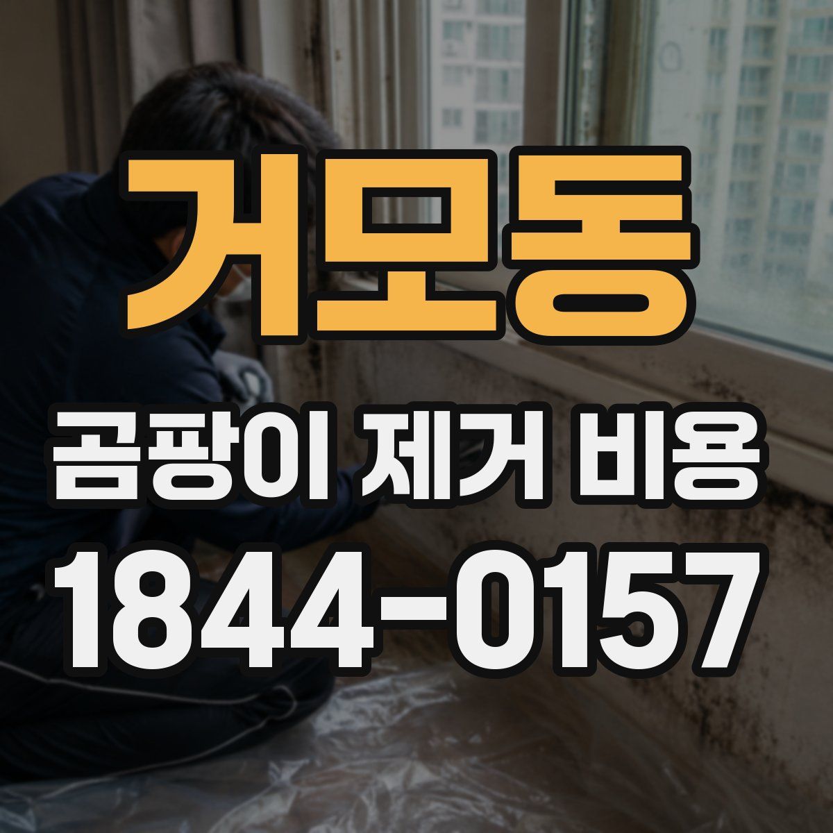 거모동 곰팡이 제거 비용