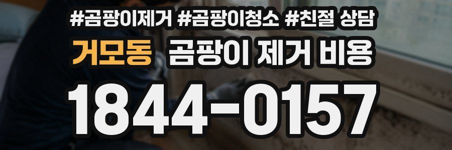 거모동 곰팡이 제거 비용