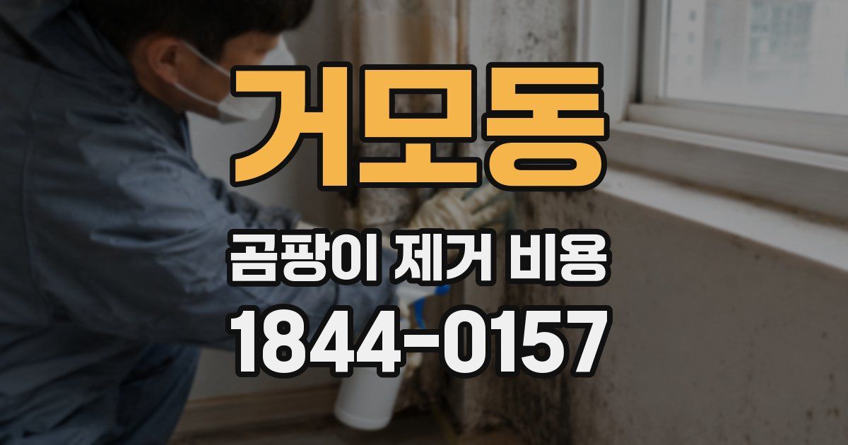 거모동 곰팡이 제거 비용