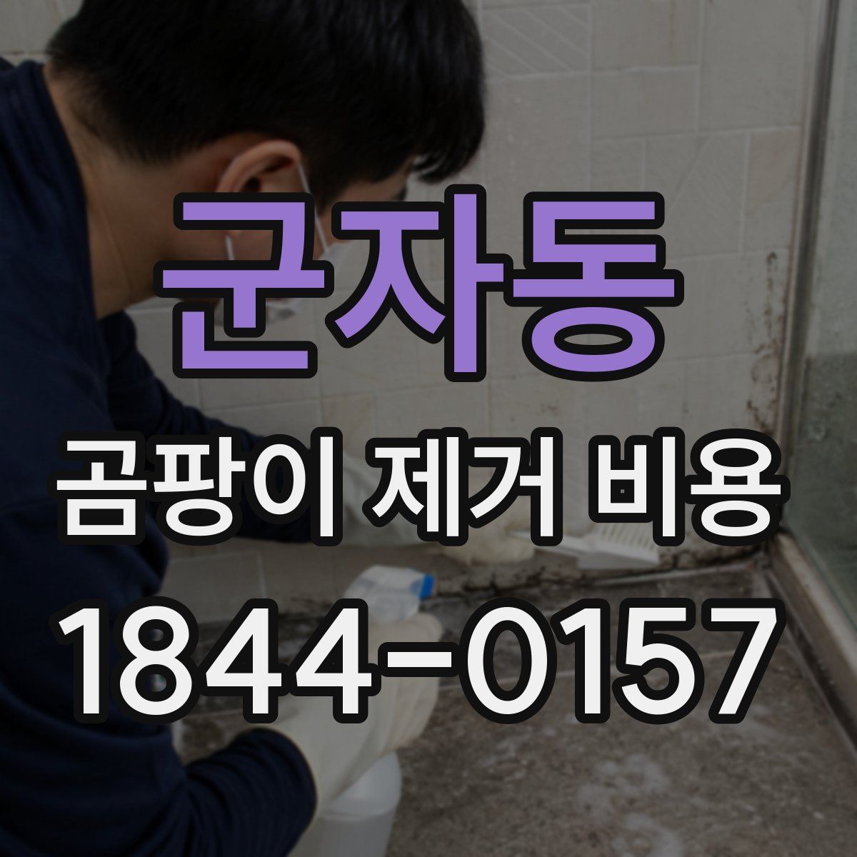 군자동 곰팡이 제거 비용