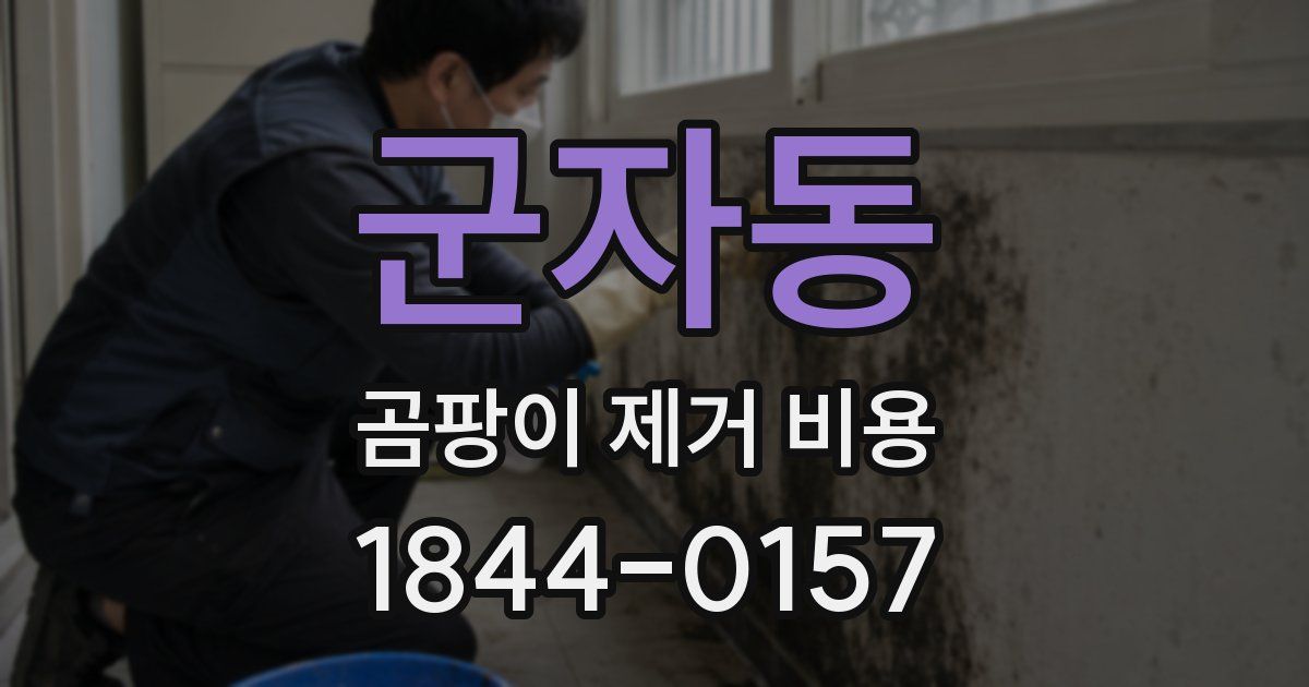 군자동 곰팡이 제거 비용
