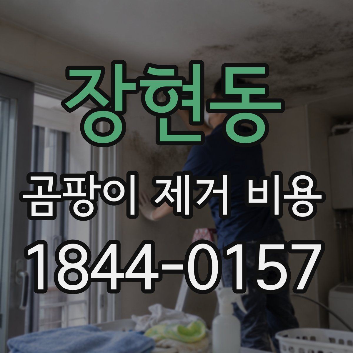 장현동 곰팡이 제거 비용 상담 후 일정 잡는 방법