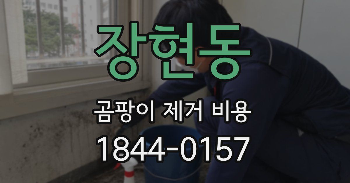 장현동 곰팡이 제거 비용