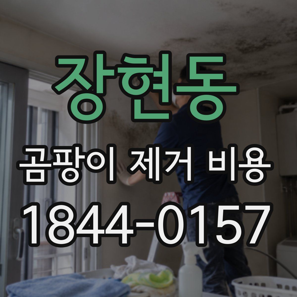 장현동 곰팡이 제거 비용