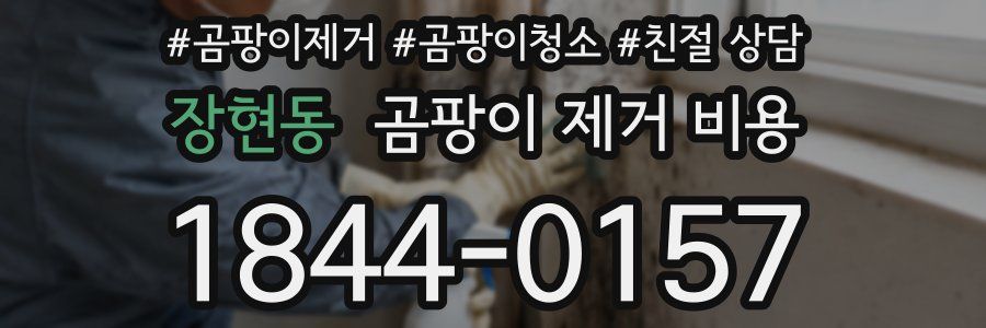 장현동 곰팡이 제거 비용