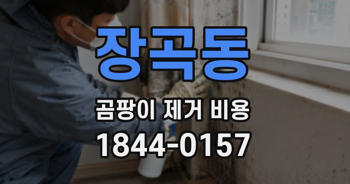 장곡동 곰팡이 제거 비용