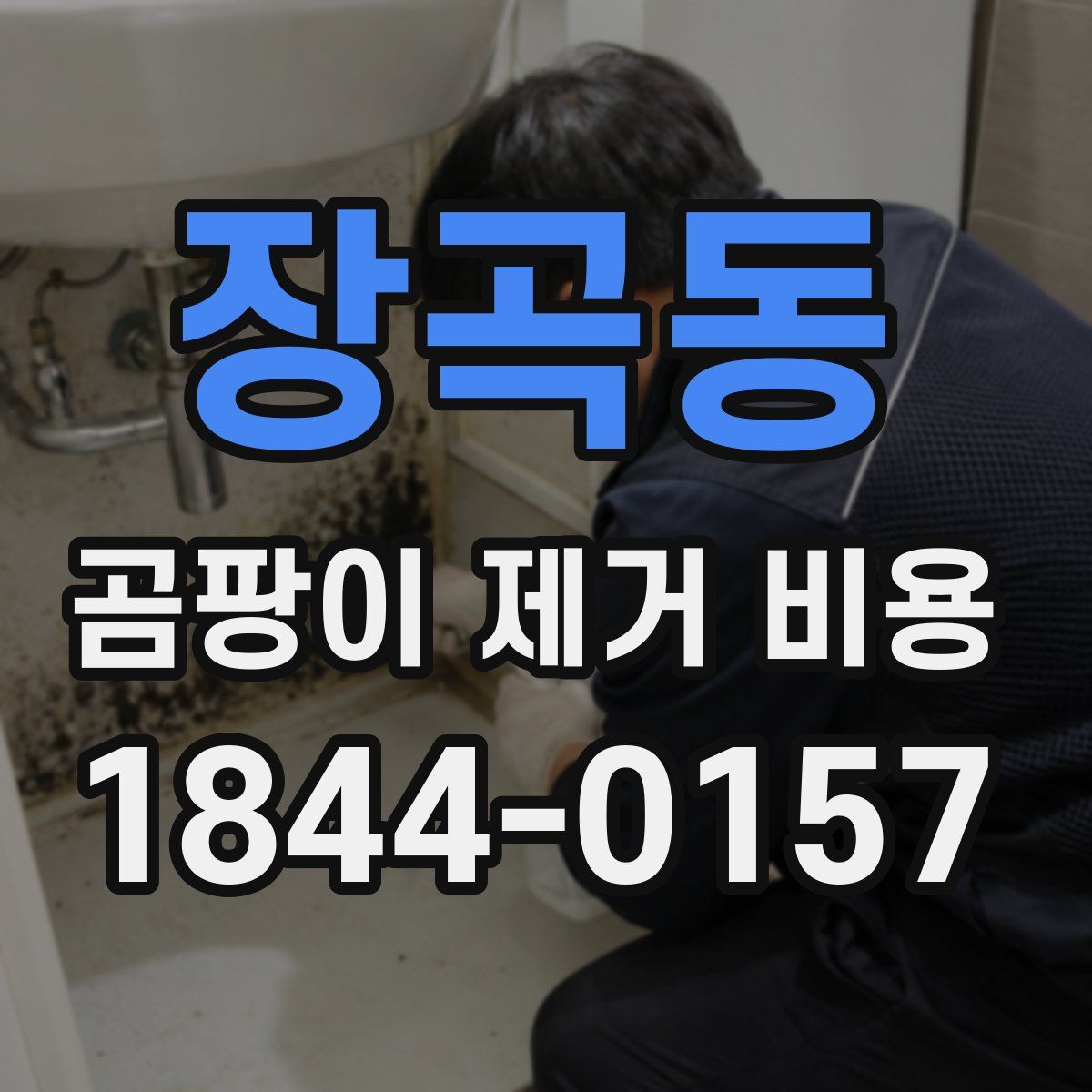 장곡동 곰팡이 제거 비용