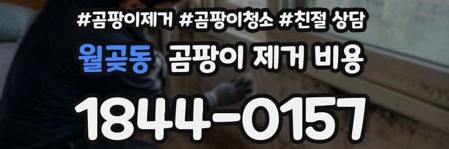 월곶동 곰팡이 제거 비용