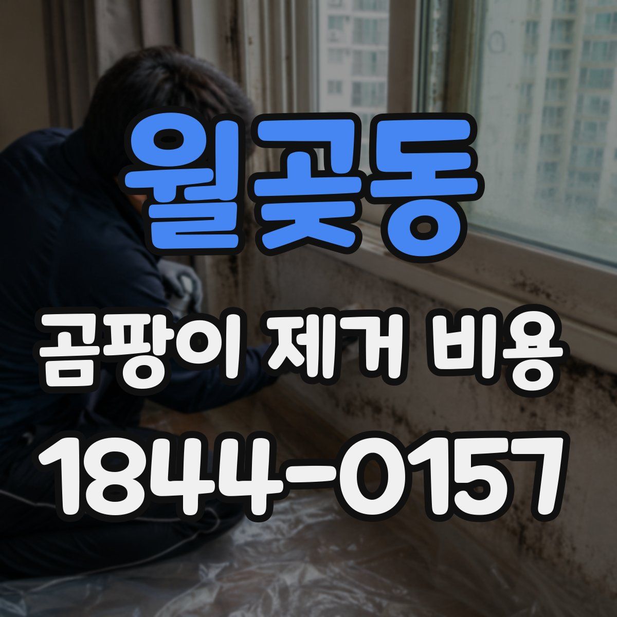 월곶동 곰팡이 제거 비용