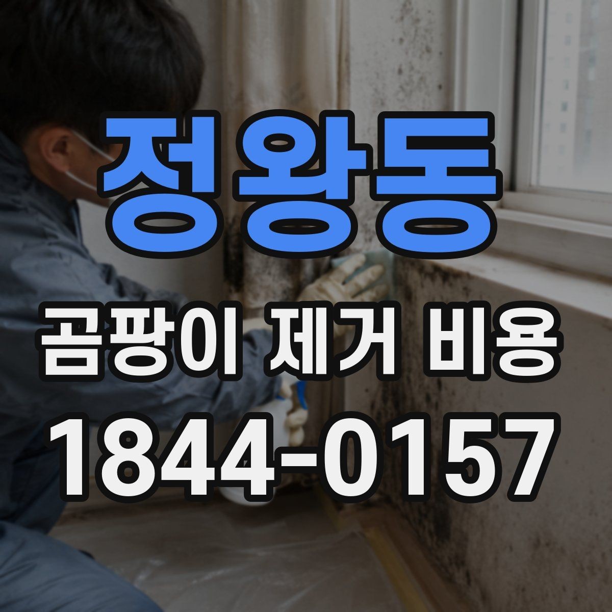 정왕동 곰팡이 제거 비용 알아볼 때 업체 후기 보는 법
