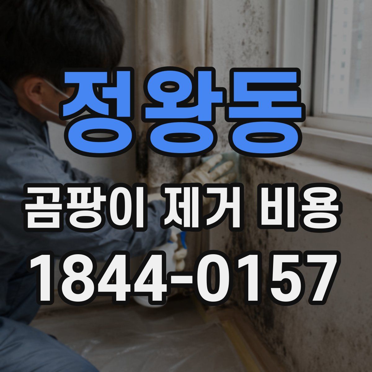 정왕동 곰팡이 제거 비용