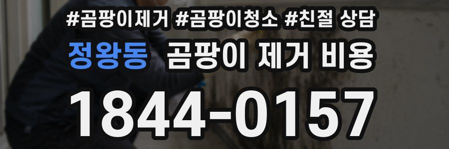 정왕동 곰팡이 제거 비용